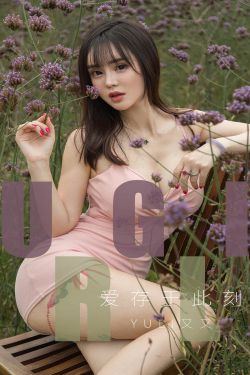 上门女婿叶辰小说